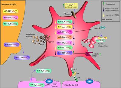 The Potential Role of Platelet-Related microRNAs in the Development of Cardiovascular Events in High-Risk Populations, Including Diabetic Patients: A Review